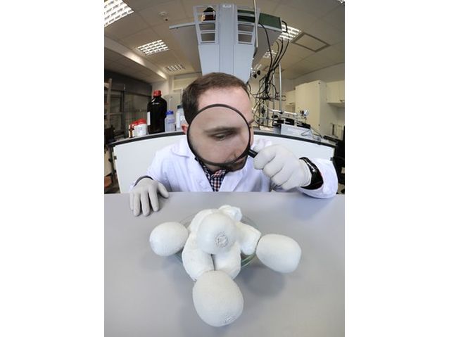 Młody naukowiec ogląda pod lupą model grzyba