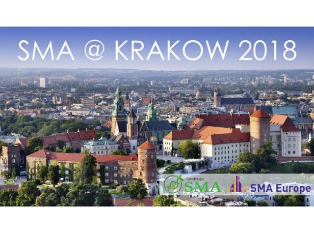 Panorama Krakowa wraz z napisem SMA @ Kraków