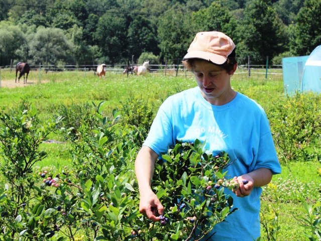 kobieta pracuje przy gałązkach