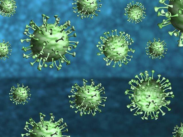 Grafika przedstawia zielone wirusy z wieloma wypustkami
