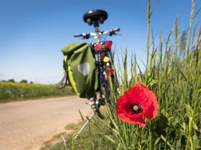 rower z sakwą po jednej stronie stoi na poboczu drogi wokół zieleń