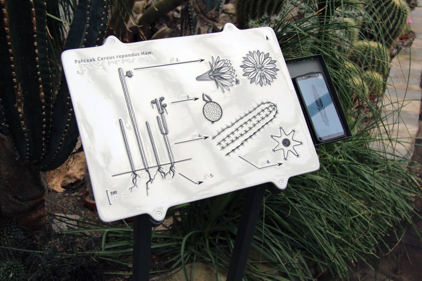 Tablica - ogród botaniczny, która otrzymała pierwszą nagrodę w konkursie SWITCH into universal design.