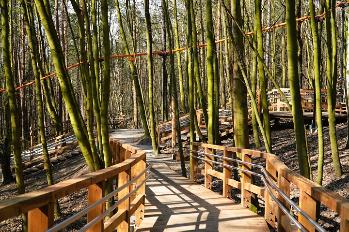 Ścieżka dla spacerowiczów położona w środku lasu. 