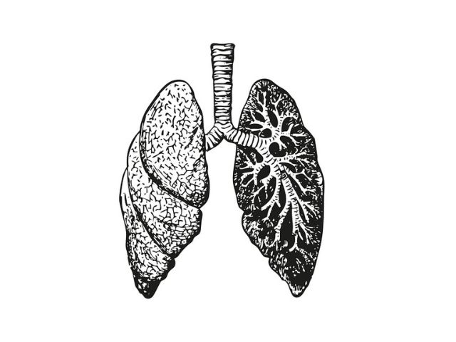Grafika poglądowa płuc.