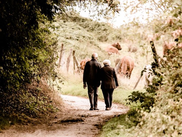 para seniorów mężczyzna i kobieta na spacerze w lesie, widoczni od tyłu