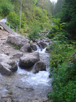 zdjęcie: Pieniny